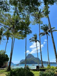 a group of palm trees on the beach at Cadlao Resort and Restaurant in El Nido