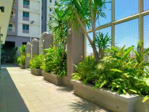 Κήπος έξω από το Apartemen Puncak Marina