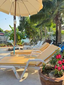 Zahrada ubytování Rang Noknoy Resort at Kohlarn + 37 fotografií