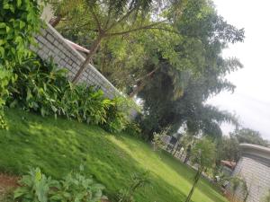 KolārOlivia Resort and Spa a unit of Falgu Resorts Pvt Ltd的绿草成荫的院子,围栏和树木