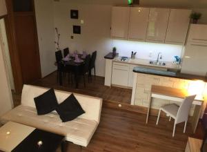 Kuchyň nebo kuchyňský kout v ubytování Apartments San