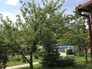 Zahrada ubytování Apartments San