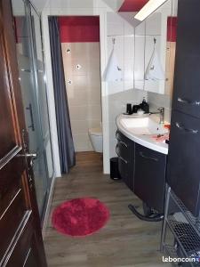 a bathroom with a sink and a toilet and a mirror at Mon petit coin de paradis in Saint-Gervais-les-Bains