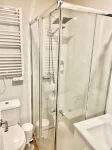 a bathroom with a shower and a toilet and a sink at El Botón del Charro Cudillero Casco viejo in Cudillero