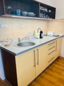 una cocina con fregadero y encimera en Stylish home in the Old Town, en Staré Mesto