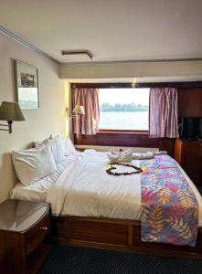 Voodi või voodid majutusasutuse Nile View Aton Cruise toas