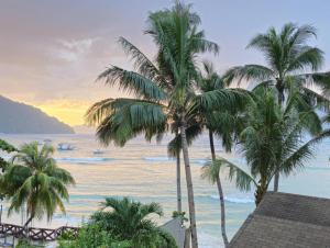 Příroda nedaleko rezortu