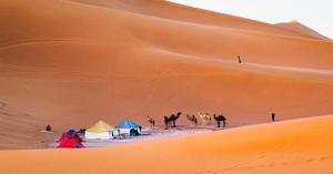 a group of camels and tents in the desert at Erg Chigaga Wil Camp in El Gouera