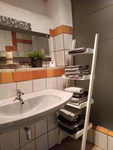 bagno con lavandino e mensola con asciugamani di Erlebnisreiterhof Wolferstadt a Wolferstadt