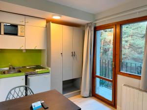 Kuchyň nebo kuchyňský kout v ubytování Apartamentos Midi 3000