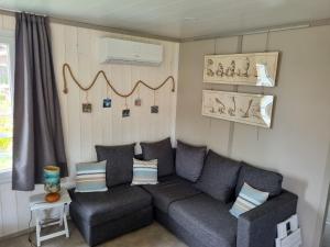 Gallery image of La Cabane aux Papillons chalet bord du lac de Peyre 7 pp piscine chauffée in Labouheyre