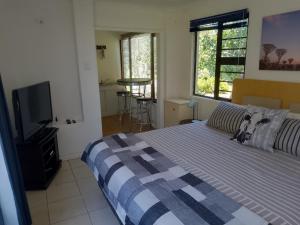 una camera da letto con un letto e una TV a schermo piatto di Fisherhaven Guest House a Hermanus