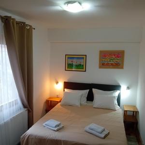 Katil atau katil-katil dalam bilik di Zeravica Rooms B&B
