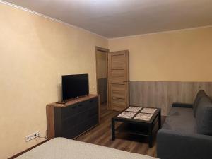 a living room with a couch and a television at Cat Garden Business Apartments Riga in Rīga
