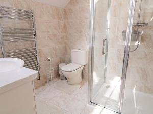 a bathroom with a toilet and a glass shower at SJs Cottage in Coleraine +19 photos