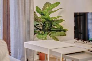 una sala de estar con una mesa blanca y una planta en Casa De Esme l, en Haro