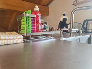 Fotografie z fotogalerie ubytování Jungfrau Penthouse - Aare Jungfrau AG v destinaci Wilderswil