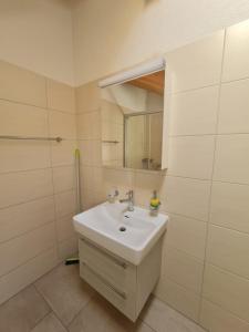 Koupelna v ubytování Jungfrau Penthouse - Aare Jungfrau AG
