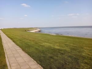 比苏梅尔代肖森Ferienwohnung Steuerbord的毗邻海滩的草地和海洋