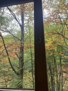 a window with a view of a forest at Voronins Retreat House in Lumshory
