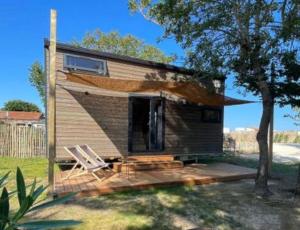 La Brée-les-BainsEco Tiny housse的一间有一把椅子和一棵树的小房子