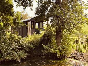 a small house with a tree in front of it at La Roulotte de Papou - 2 adultes & 1 enfant in Frasnes-lez-Anvaing +10 photos