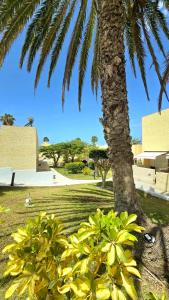 A garden outside Dream Holiday Las Americas