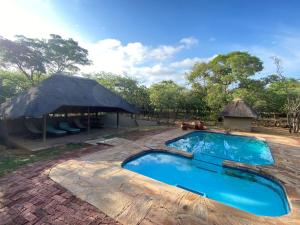 een zwembad voor een hut met een rieten dak bij Kigeni Safari Lodge & Spa in Vaalwater
