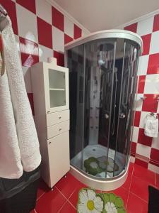 a bathroom with a shower with a sink and a mirror at Amaraz Center in Sibiu +26 photos
