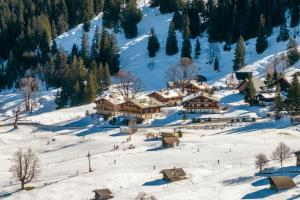 Alpzyt auf Axalp durante l'inverno