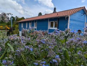 Zahrada ubytování Ferienhaus am Schierbach