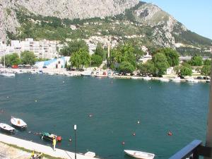 Príroda v okolí apartmánu