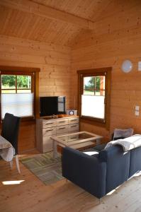 Μια τηλεόραση ή/και κέντρο ψυχαγωγίας στο Ferienhaus Gross Nemerow