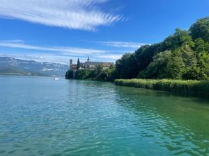 Appartement dans un vignoble في Chindrieux: اطلاله على نهر مع قلعه في المسافه