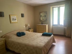 Appartement dans un vignoble في Chindrieux: غرفة نوم عليها سرير ووسادتين زرقاوين