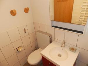 Vannituba majutusasutuses Apartment Fink by Interhome