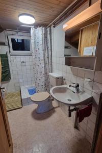 Koupelna v ubytování Apartment Bachhüsi by Interhome