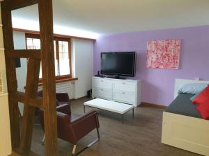 TV a/nebo společenská místnost v ubytování Apartment Gletscherhorn II - Tapia by Interhome