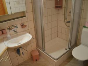 a bathroom with a shower and a sink and a toilet at Apartment Adlerhorst by Interhome in Adelboden +15 photos