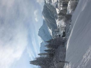 a snowy mountain with trees on the side of it at Apartment Ferienwohnung Lankreijer by Interhome in Adelboden
