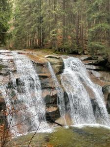 Φυσικό τοπίο κοντά σε αυτό το διαμέρισμα