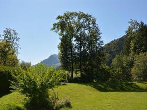a field of grass with trees and mountains in the background at Apartment La Sarine 20 by Interhome in Gstaad