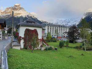 a building in a field with mountains in the background at Apartment Bergfried by Interhome in Engelberg