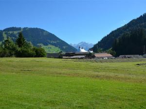 a large field of grass with a building in the background at Apartment Jacqueline 22 by Interhome in Gstaad