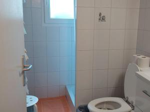 Vannituba majutusasutuses Apartment Daheim by Interhome