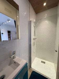 a bathroom with a shower and a sink at Lion d'or 23 - Chambre meublée et équipée en centre-ville in Montluçon