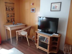 Televiisor ja/või meelelahutuskeskus majutusasutuses Apartment Steinacher 7 by Interhome