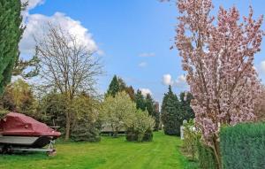 a tree with pink flowers in a yard at Stunning Apartment In Königs Wusterhausen Ot in Kablow +11 photos