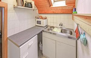 a small kitchen with a sink and a microwave at Stunning Apartment In Königs Wusterhausen Ot in Kablow