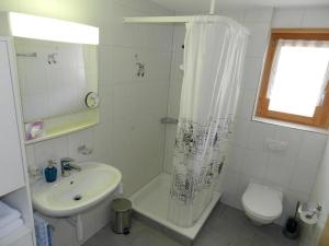 Vannituba majutusasutuses Apartment Studio Rinderbergblick by Interhome